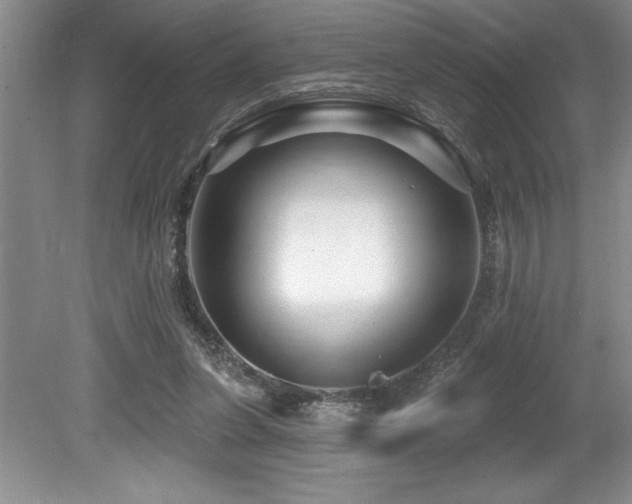 X0000079330255200611171156
