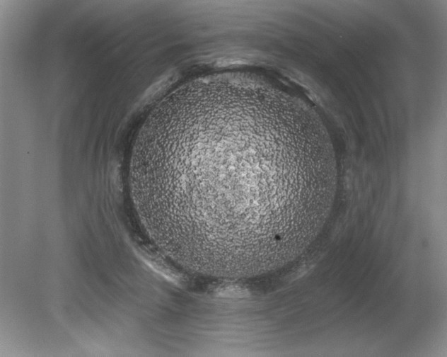 X0000079330258200611171156