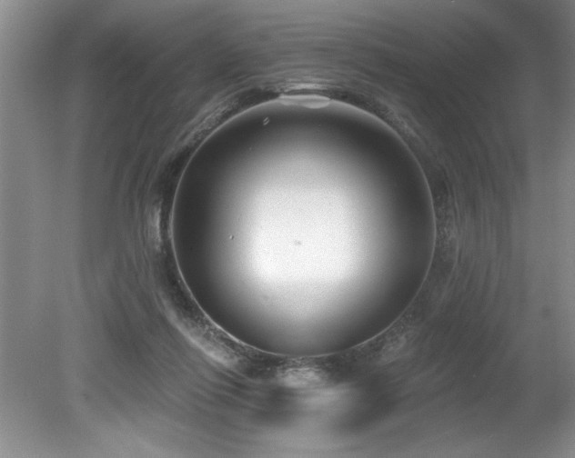 X0000079330262200611171156