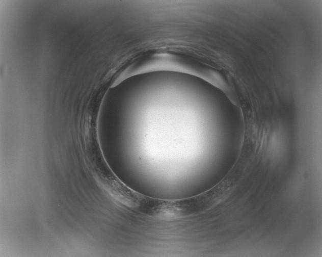 X0000079330263200611171156