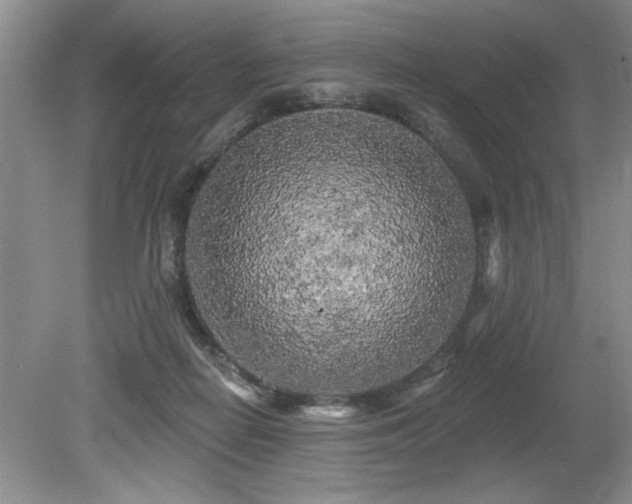 X0000079330266200611171157