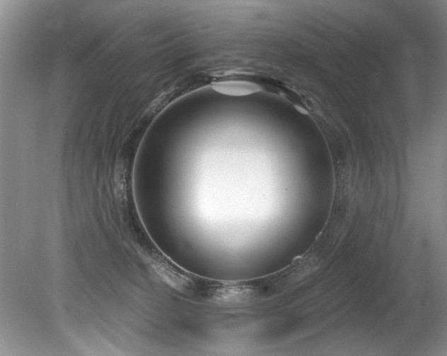 X0000079330274200611171157