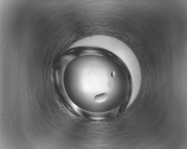 X0000079330280200611171157