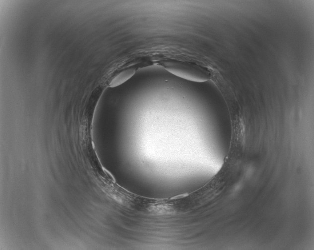 X0000079330283200611171157