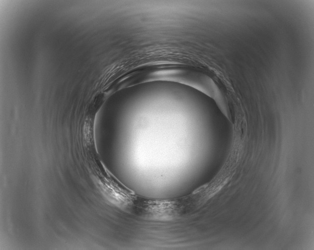 X0000079330288200611171157