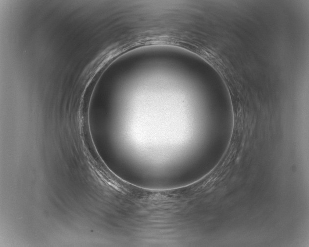 X0000079330290200611171156