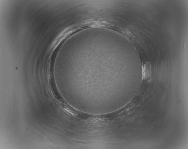 X0000079330291200611171156