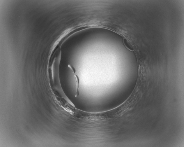 X0000079330292200611171156