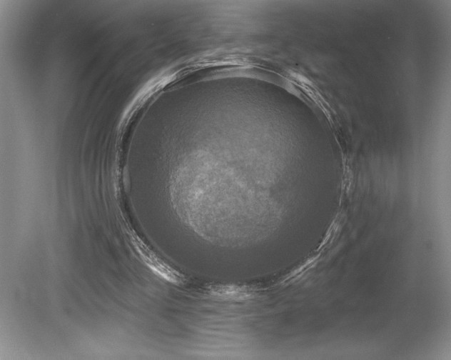X0000079330293200611171156