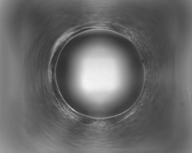 X0000079330294200611171156