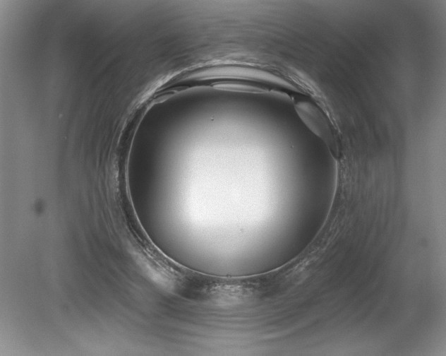 X0000079330298200611171156