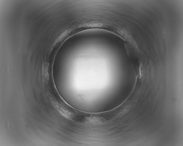 X0000079330300200611171156