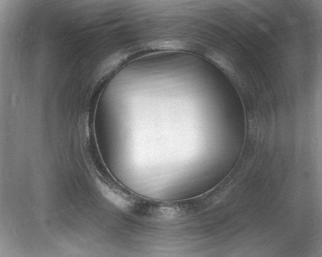 X0000079330302200611171156