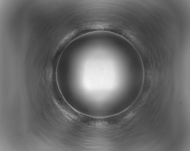 X0000079330304200611171156