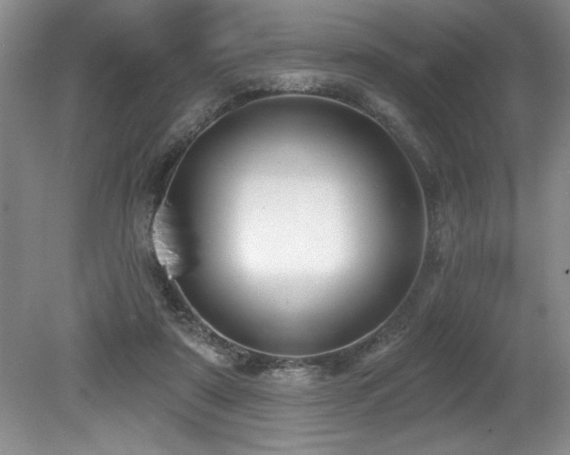 X0000079330307200611171156