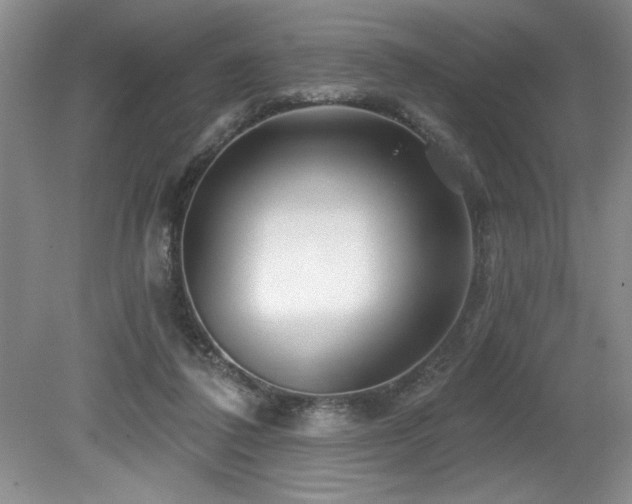 X0000079330308200611171156
