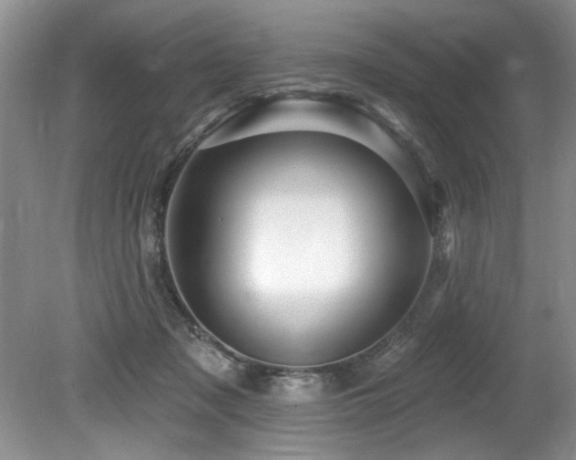 X0000079330317200611171156