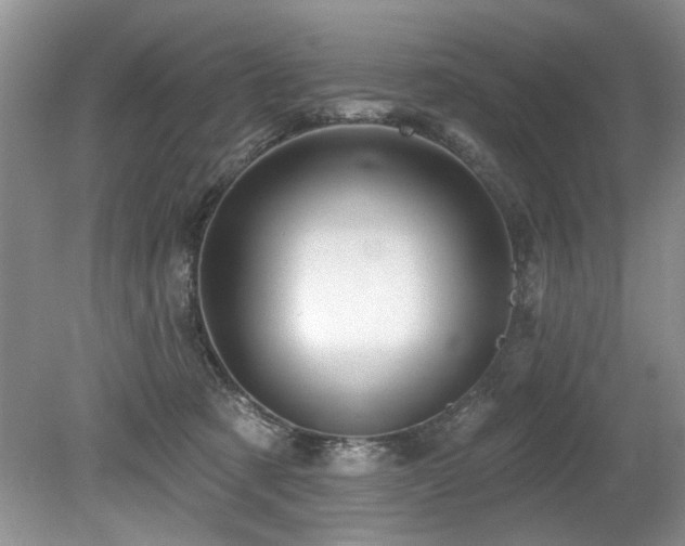 X0000079330321200611171156