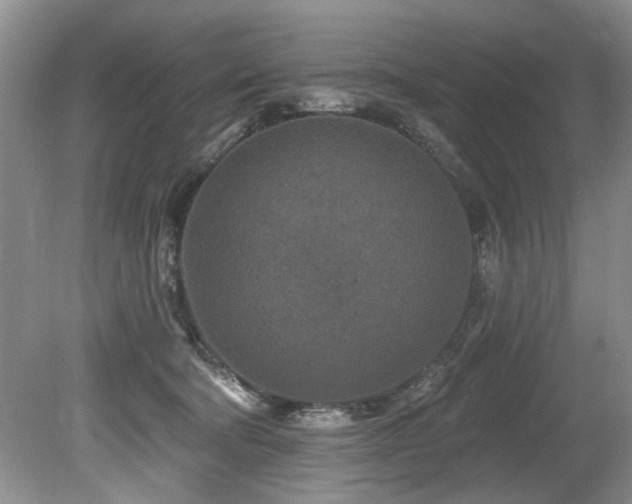 X0000079330322200611171156