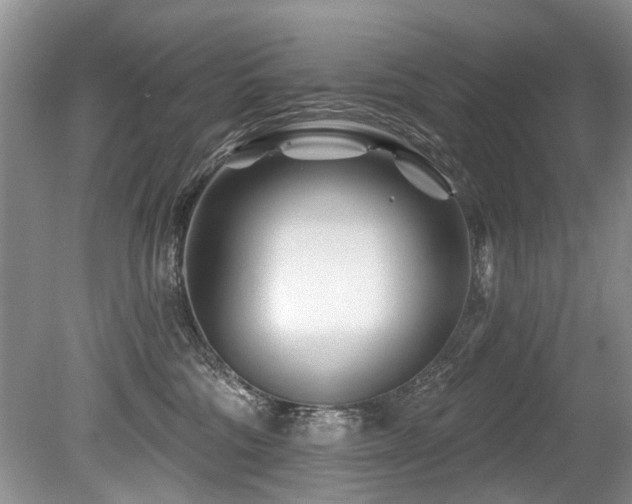 X0000079330330200611171155