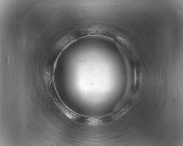 X0000079330333200611171155
