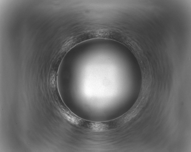 X0000079330336200611171155