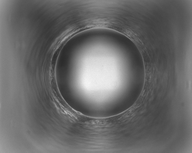 X0000079330338200611171155