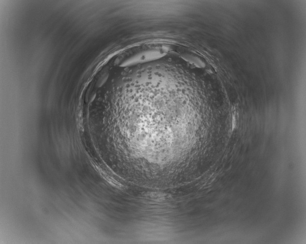 X0000079330339200611171155