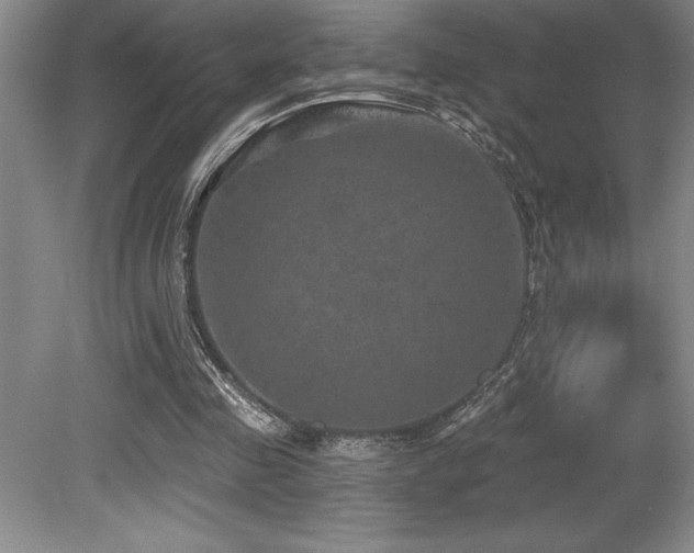 X0000079330341200611171155