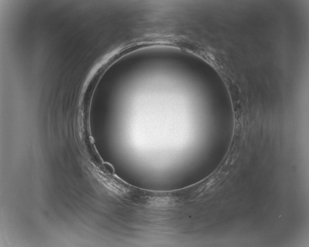X0000079330342200611171155