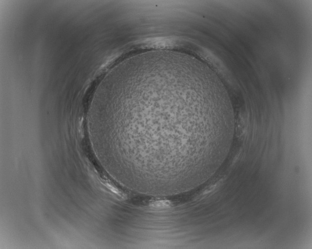 X0000079330355200611171155