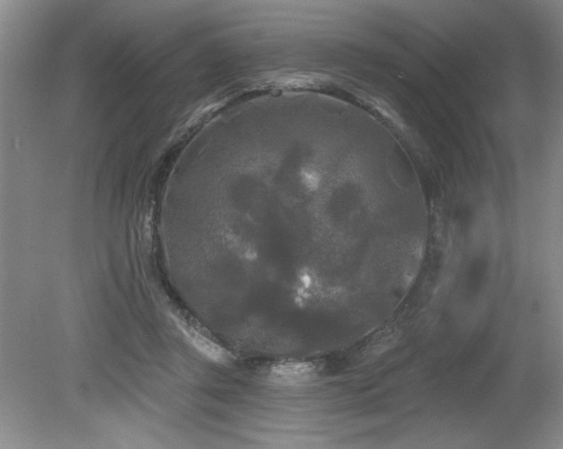 X0000079330357200611171155