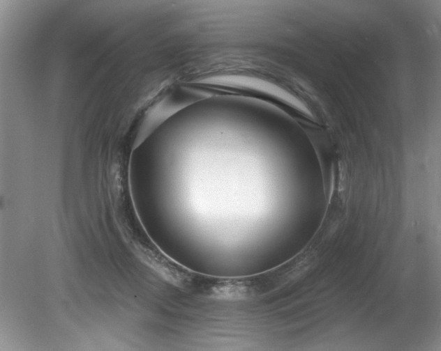 X0000079330362200611171155