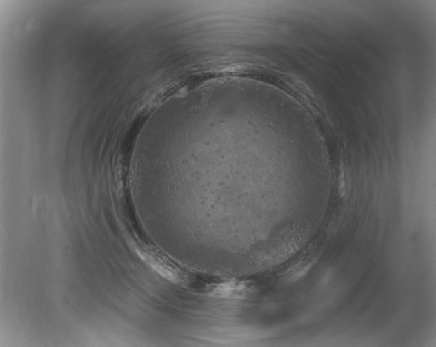 X0000079330366200611171155