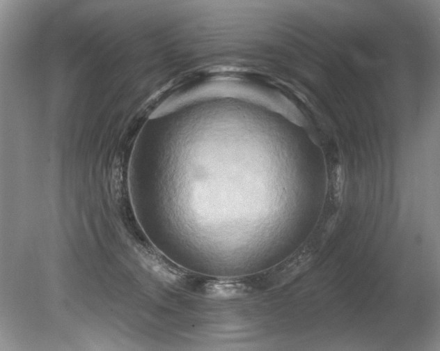 X0000079330372200611171155