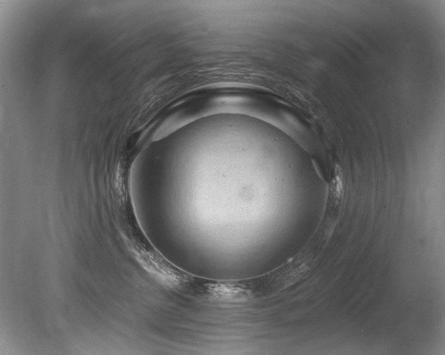 X0000079330380200611171155