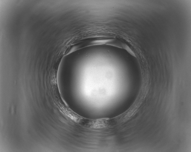 X0000079330384200611171155
