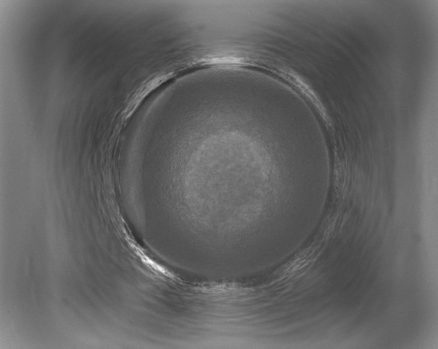 X0000079330385200611171154