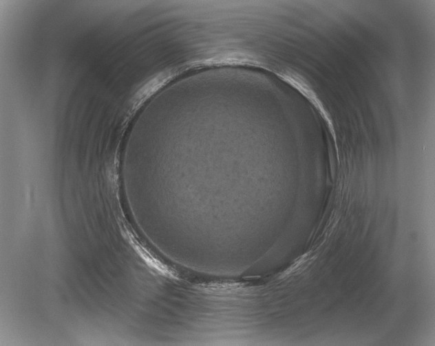 X0000079330389200611171154