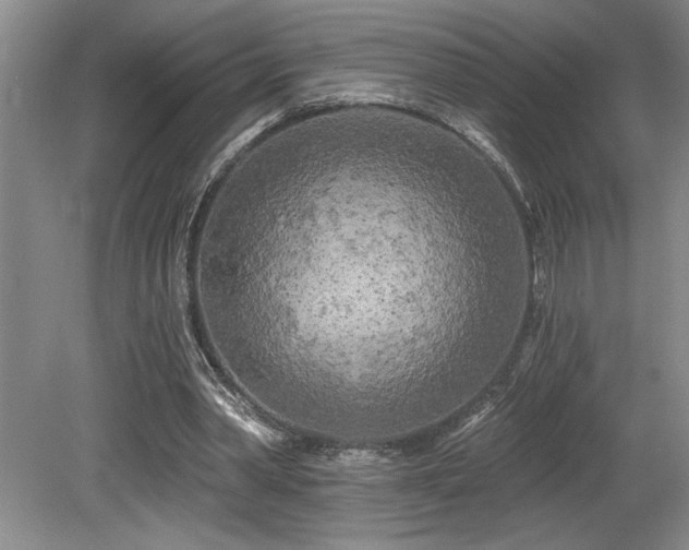 X0000079330390200611171154