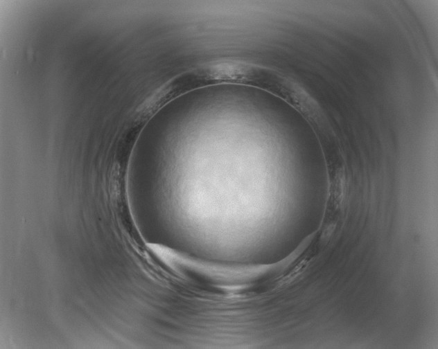 X0000079330413200611171154