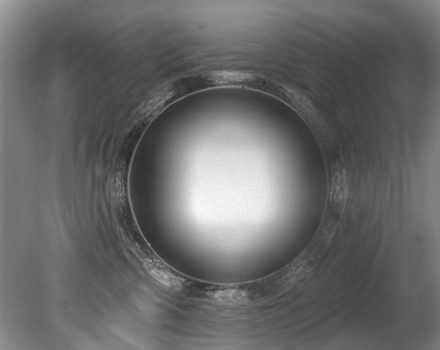 X0000079330426200611171154