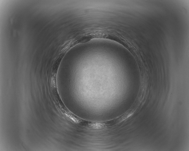 X0000079330432200611171154