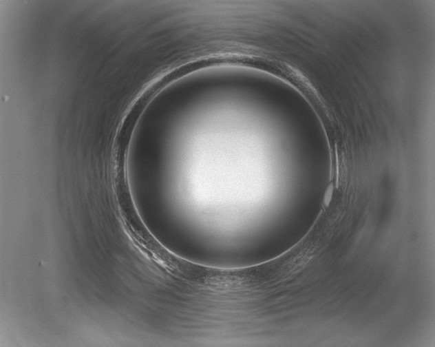 X0000079330435200611171153