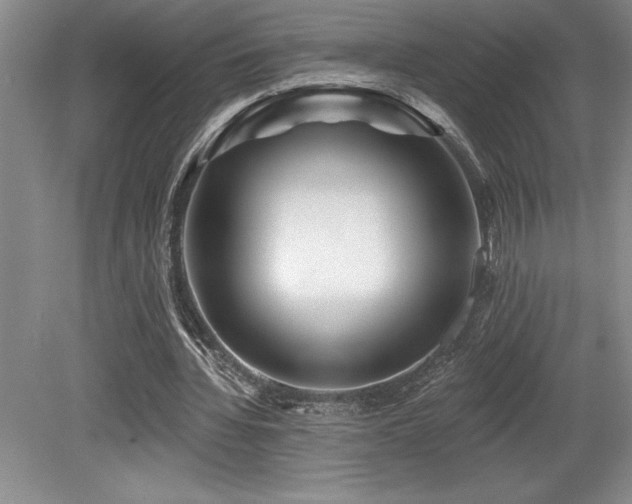 X0000079330436200611171153