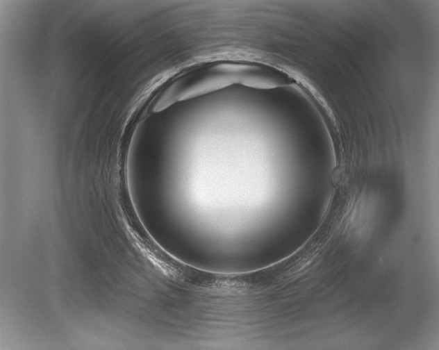 X0000079330437200611171153