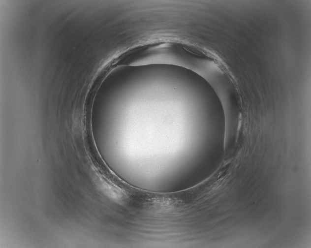 X0000079330439200611171153