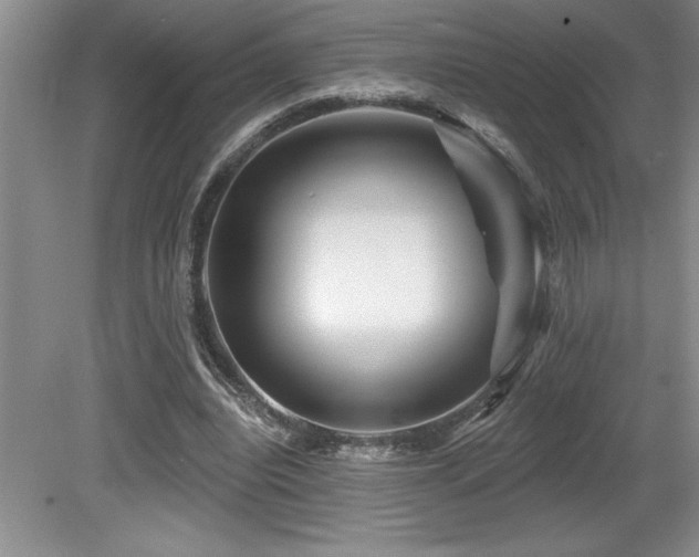 X0000079330440200611171153