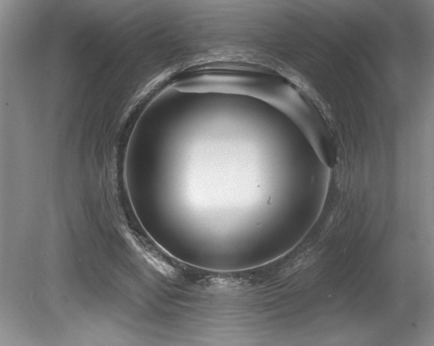 X0000079330442200611171153