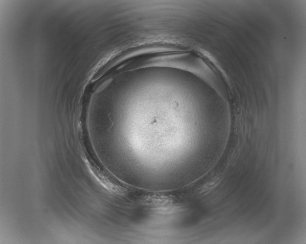 X0000079330443200611171153